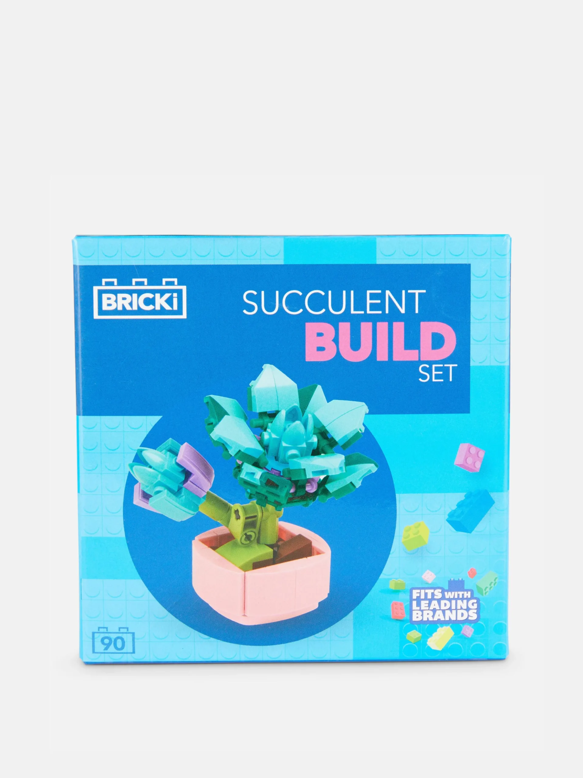 Boques De Construcción Para Suculentas