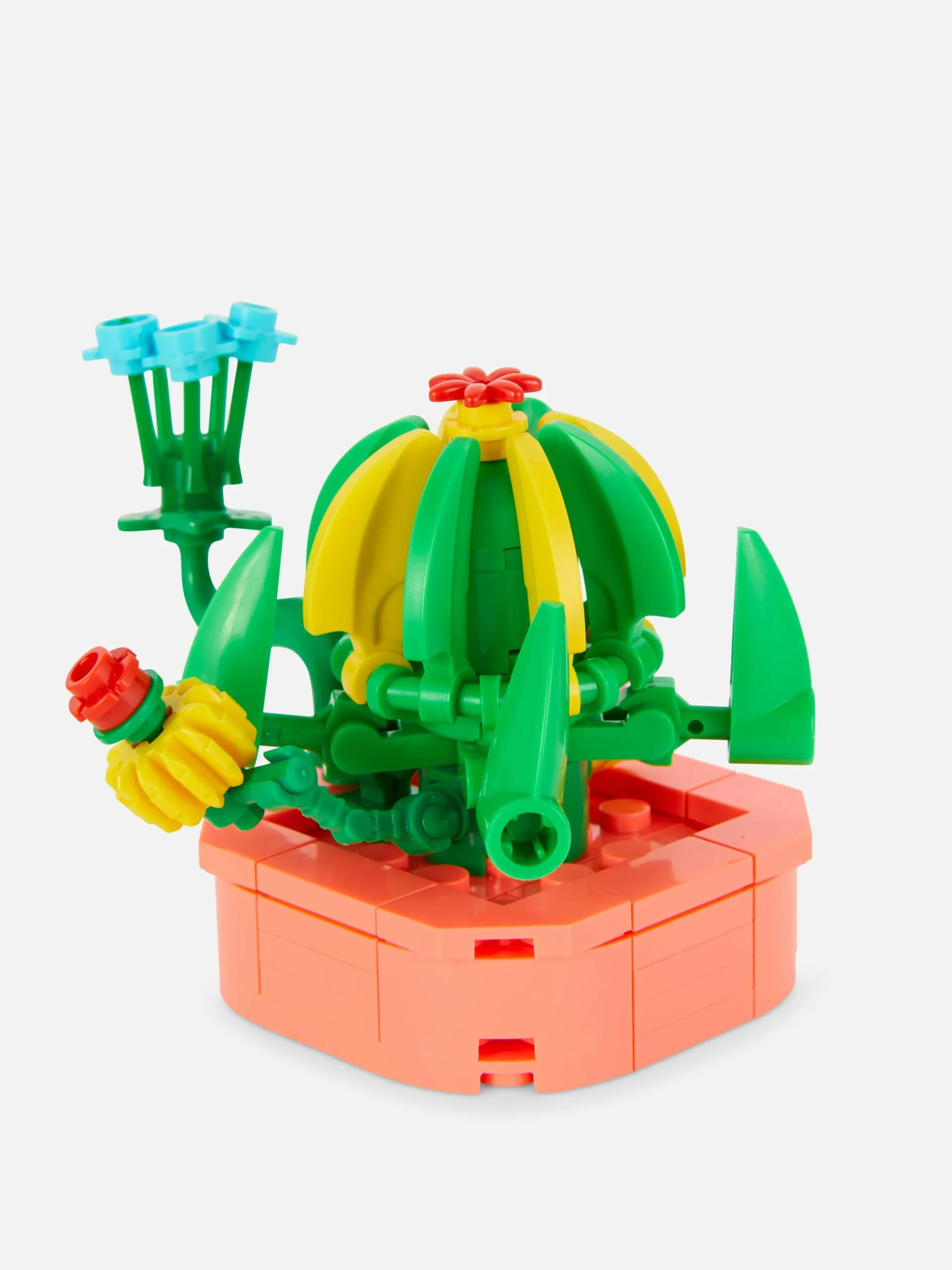 Boques De Construcción Para Suculentas