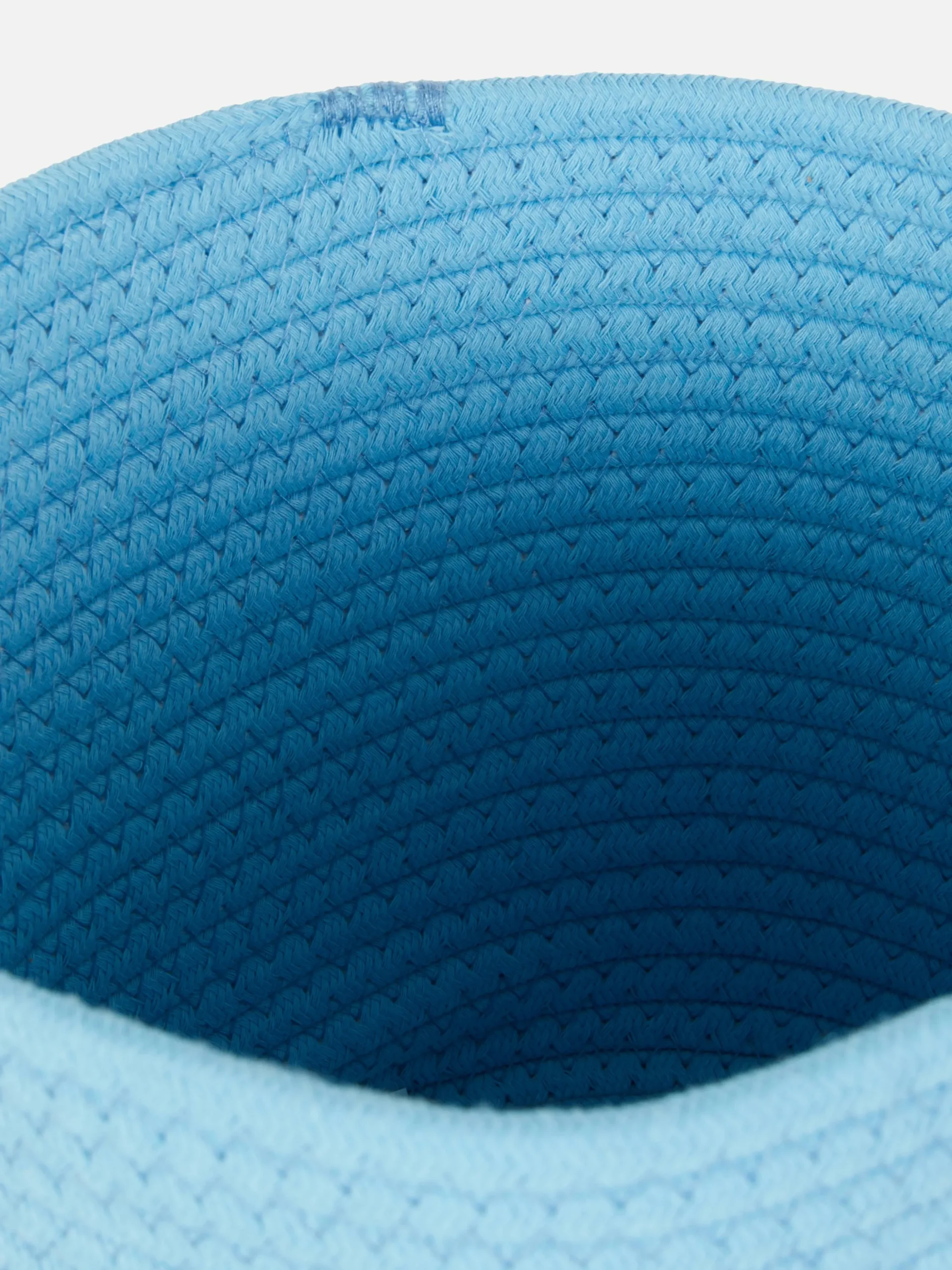 Cesta De Almacenamiento De Bluey