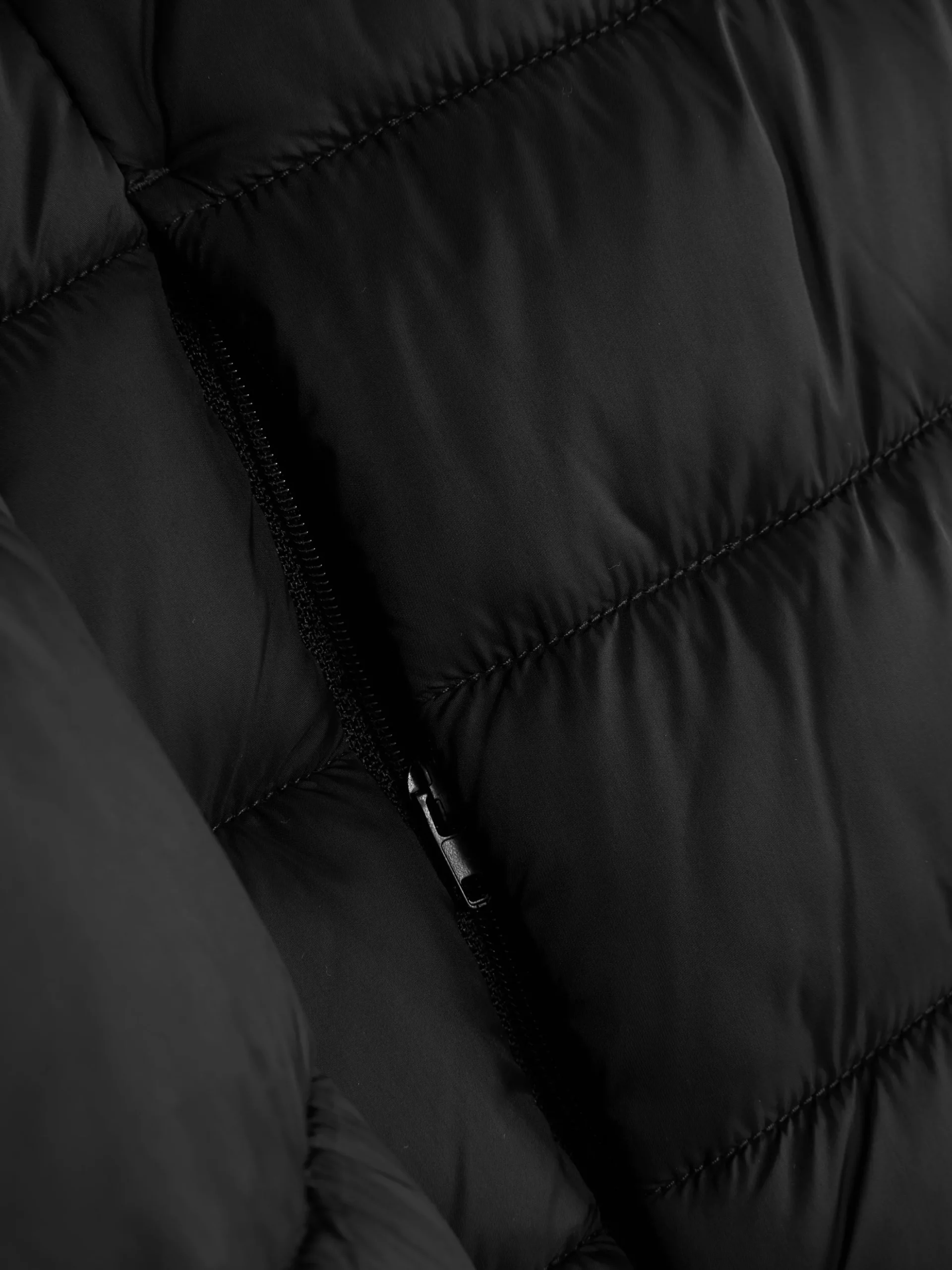 Chaqueta Acolchada Con Capucha