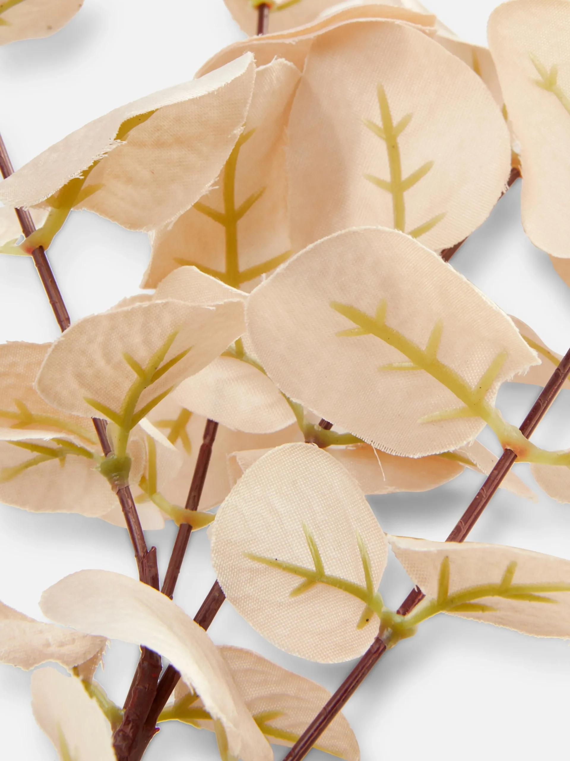 Eucalipto Artificial De Un Solo Tallo