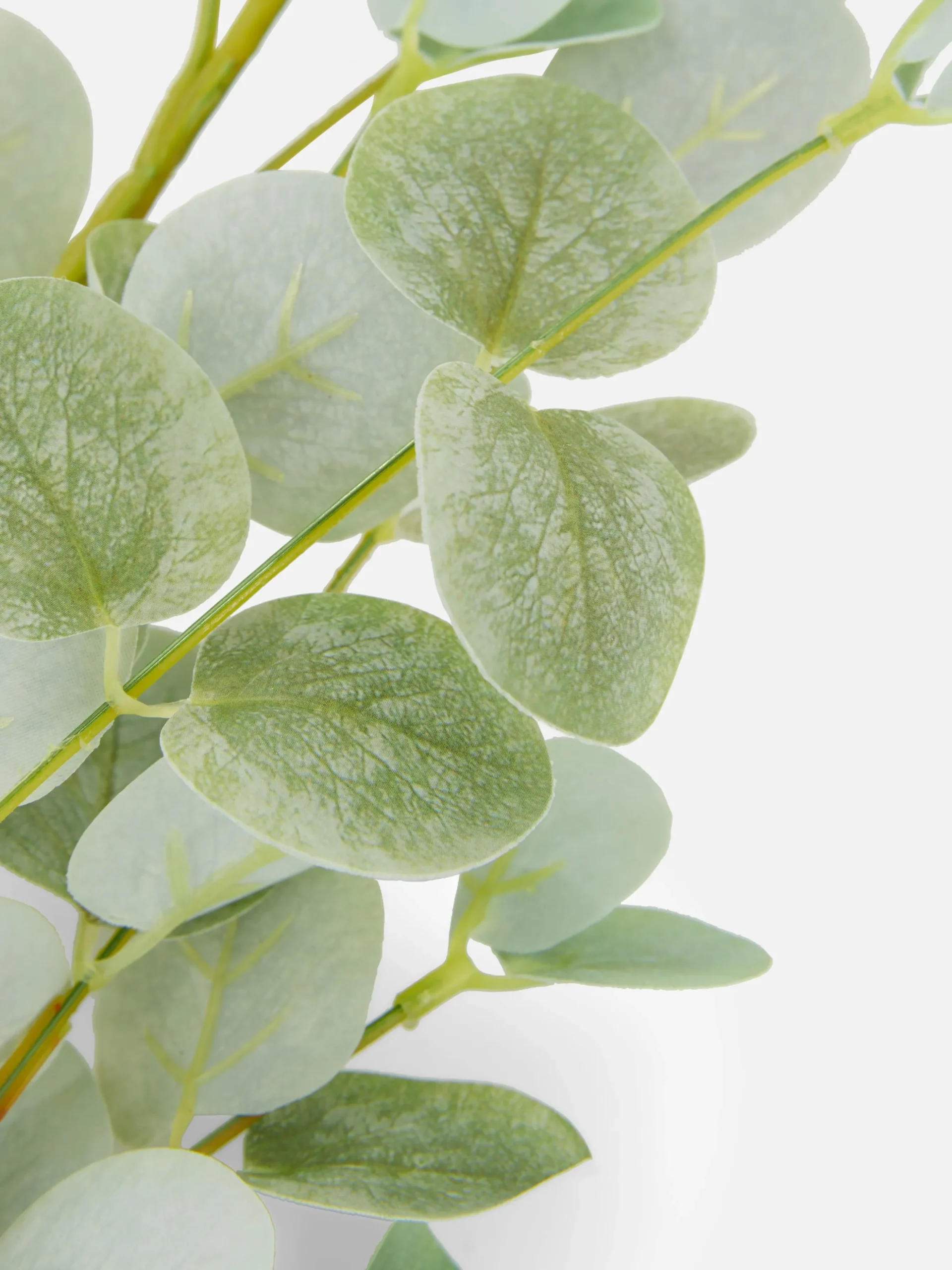 Eucalipto Artificial De Un Solo Tallo