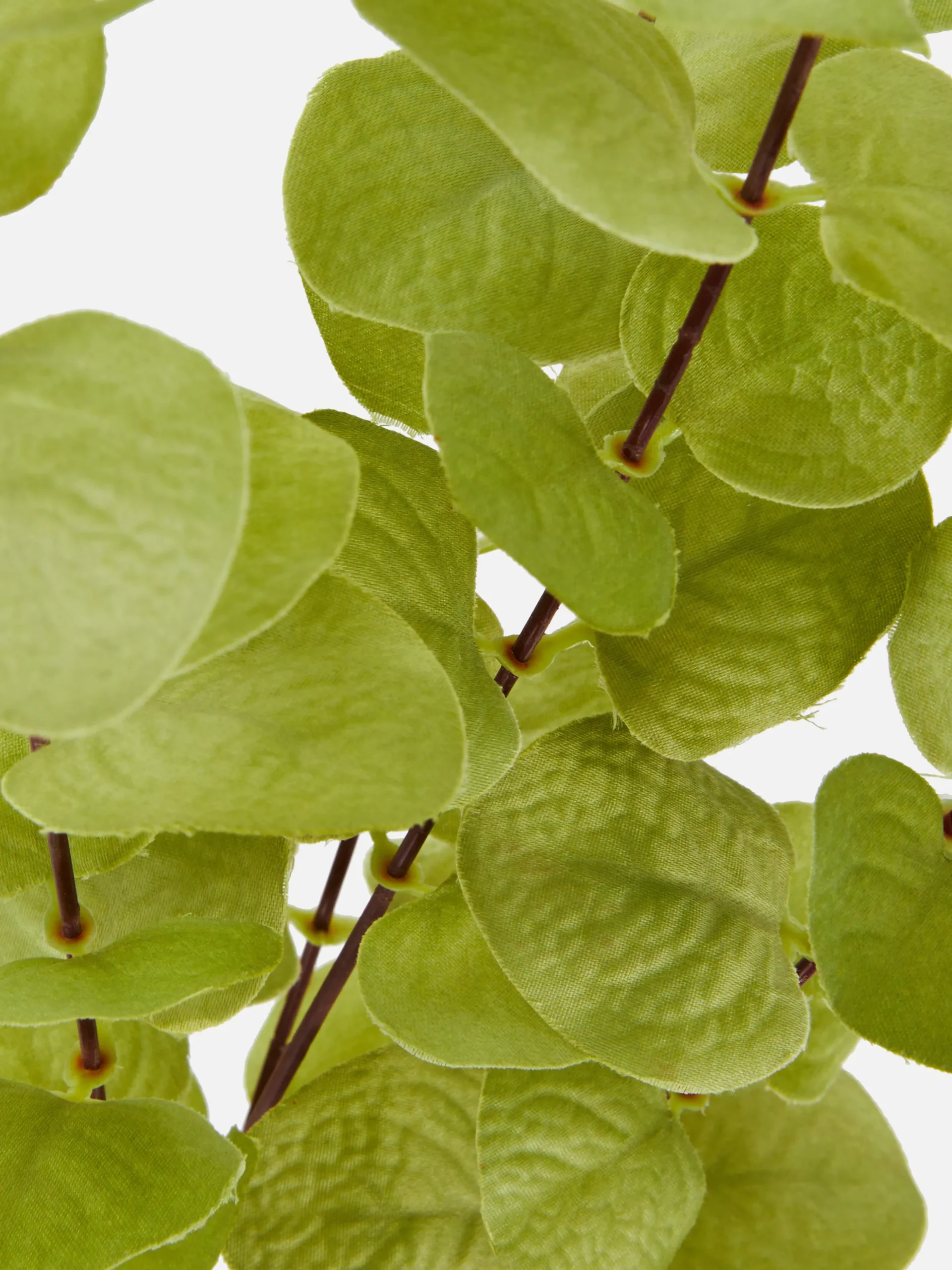 Eucalipto Artificial De Un Solo Tallo