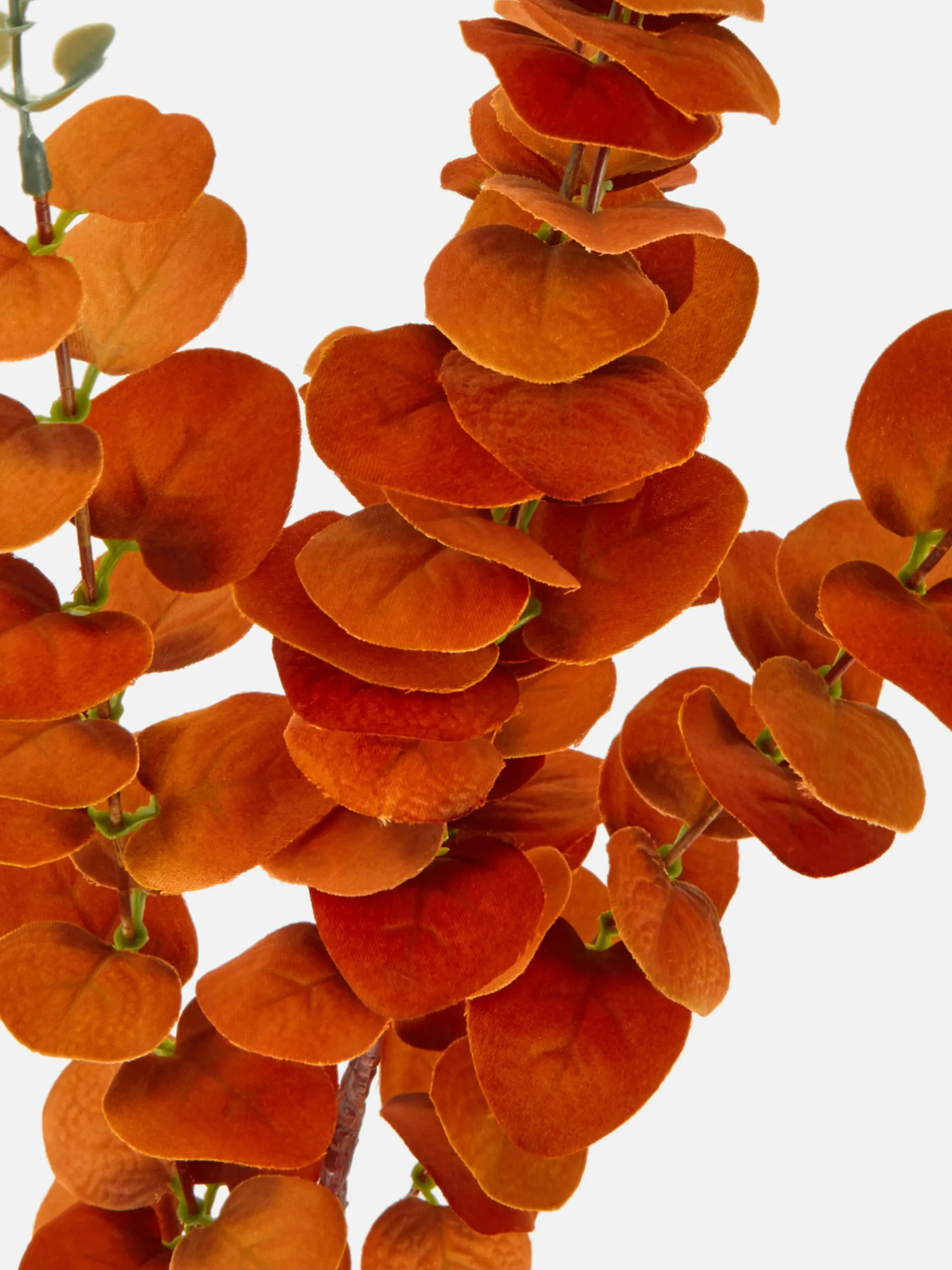 Eucalipto Artificial De Un Solo Tallo