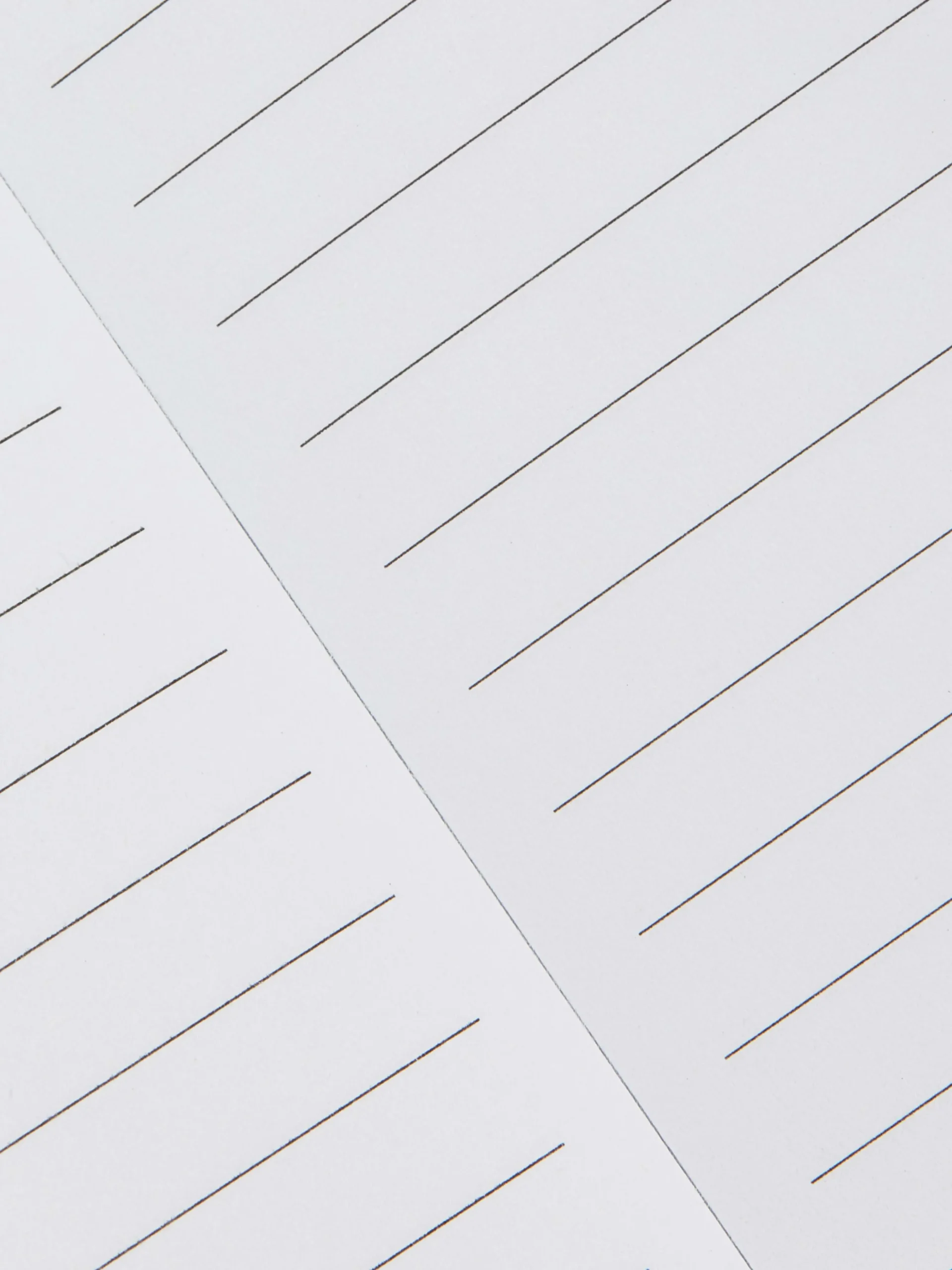 Libreta De Pelo En Forma De Tostada Con Clip