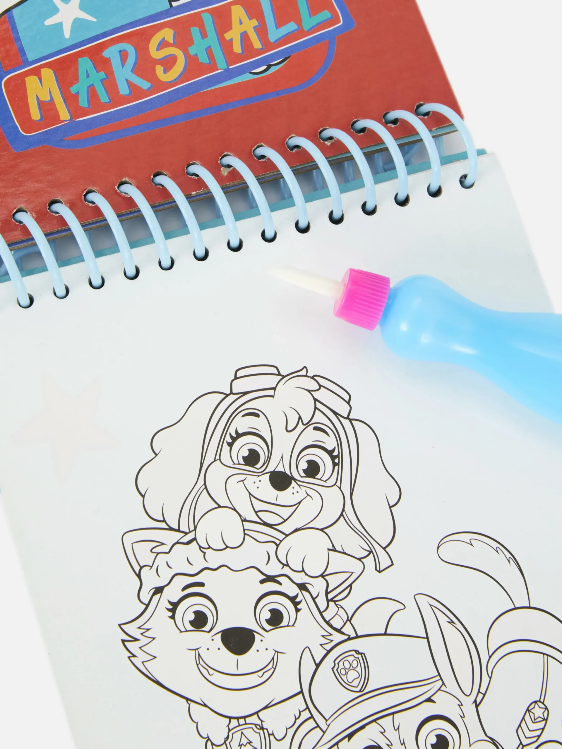 Libro Mágico De Agua De PAW Patrol