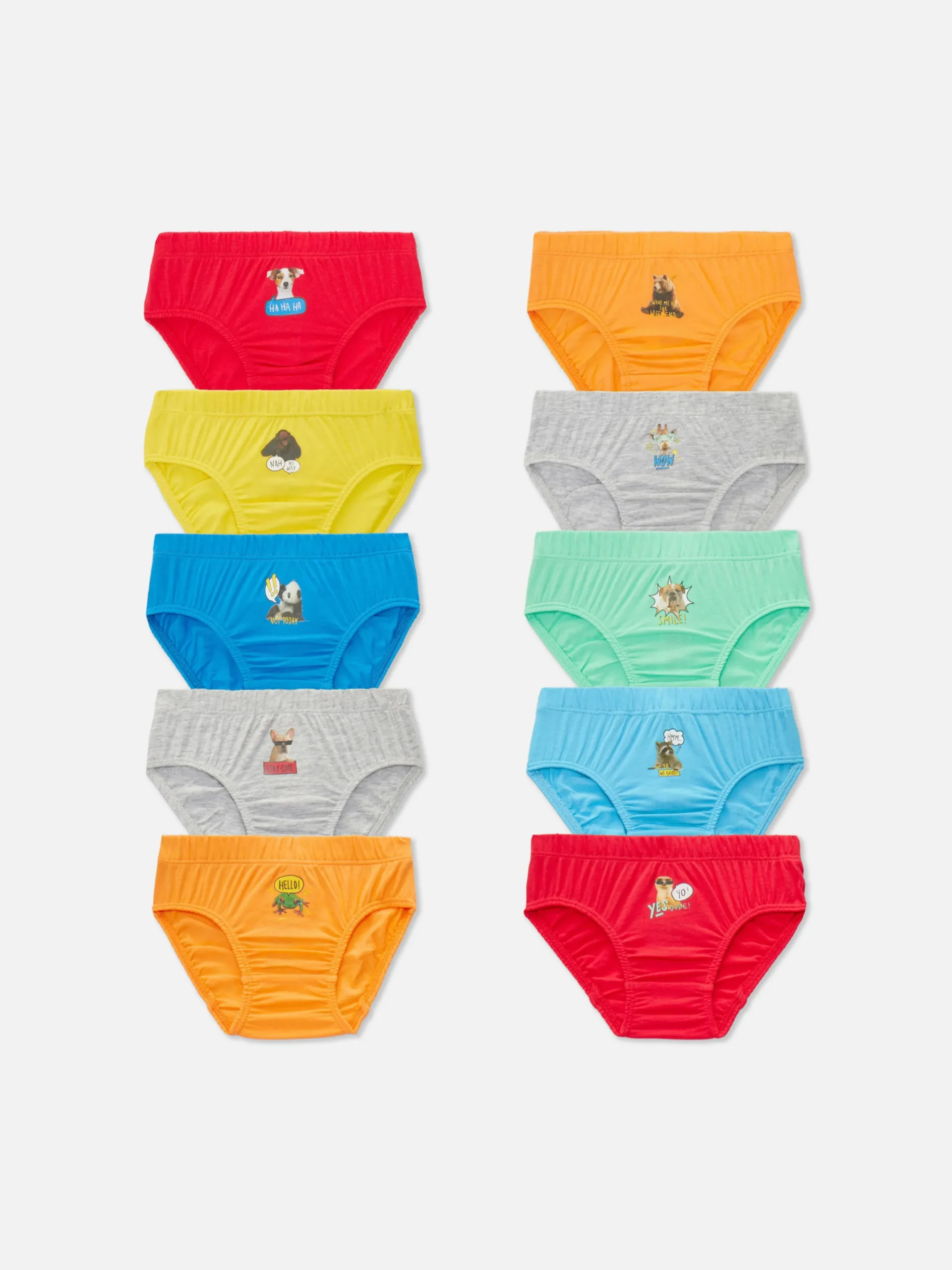 Pack De 10 Braguitas Con Estampado De Animales