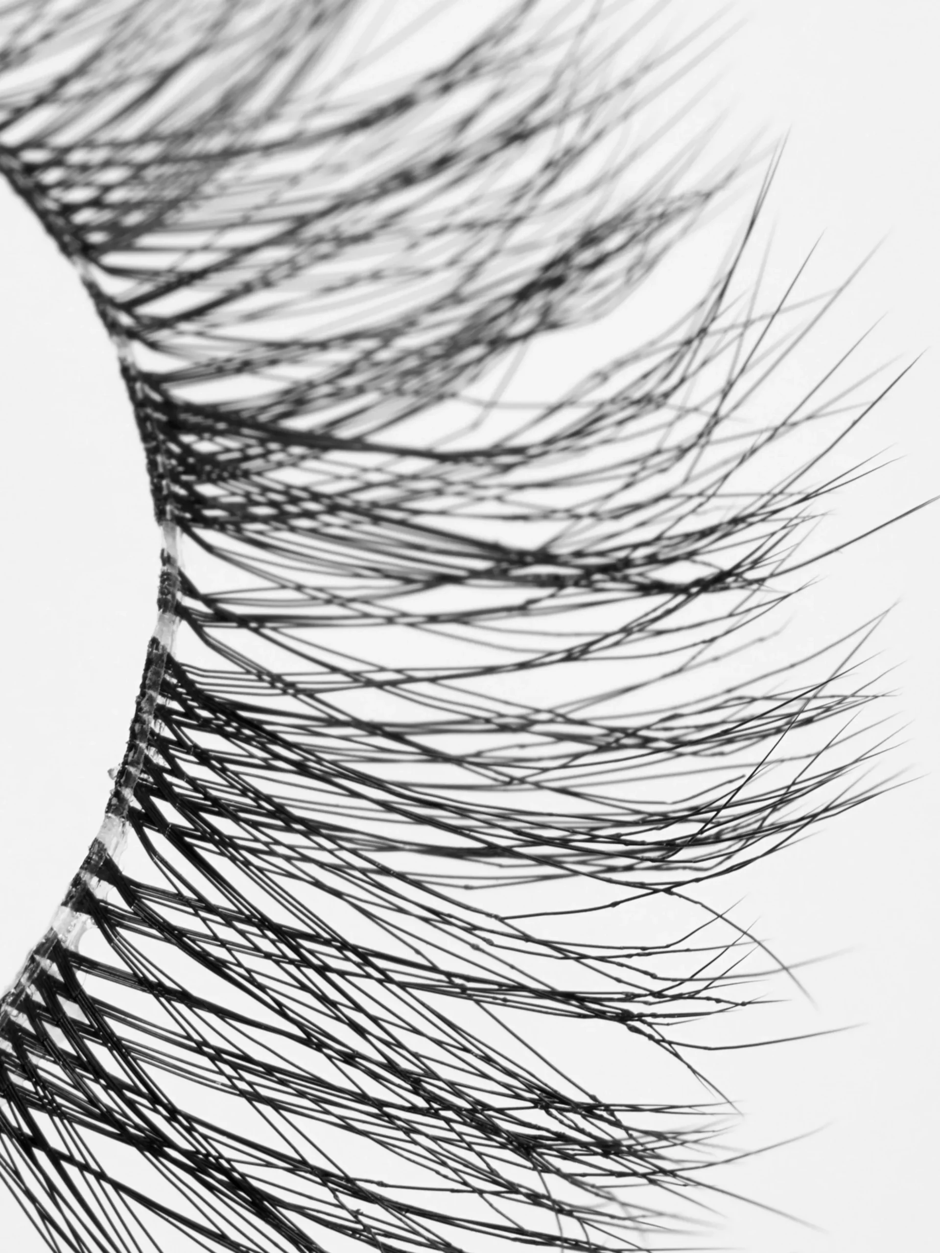 PS... Pestañas Postizas The Party Edit