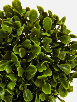 Suculenta Artificial En Maceta