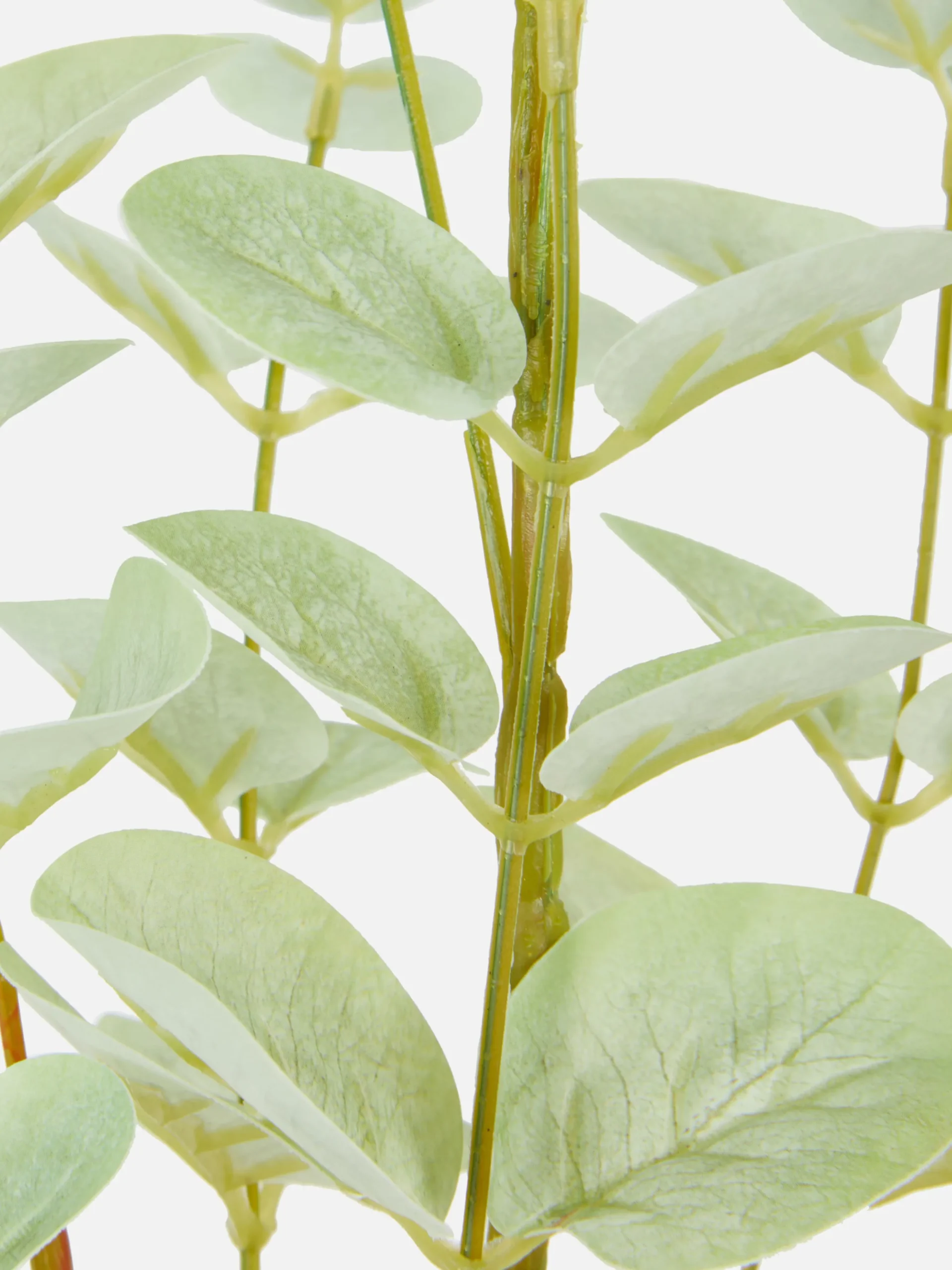 Tallo De Eucalipto Individual Artificial